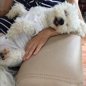 Meet your Posher, Sophia